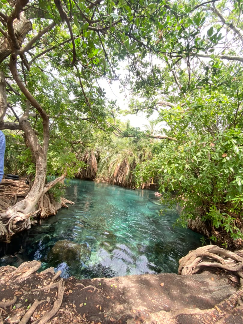 Community river water conservation project in Arusha
